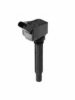 BERU ZSE068 Ignition Coil